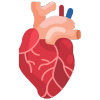 Cardio Treatment in Bhandup by dr pouloomee das