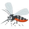Dengue Treatment in Bhandup by dr pouloomee das