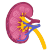 Nephro Treatment in Bhandup by dr pouloomee das